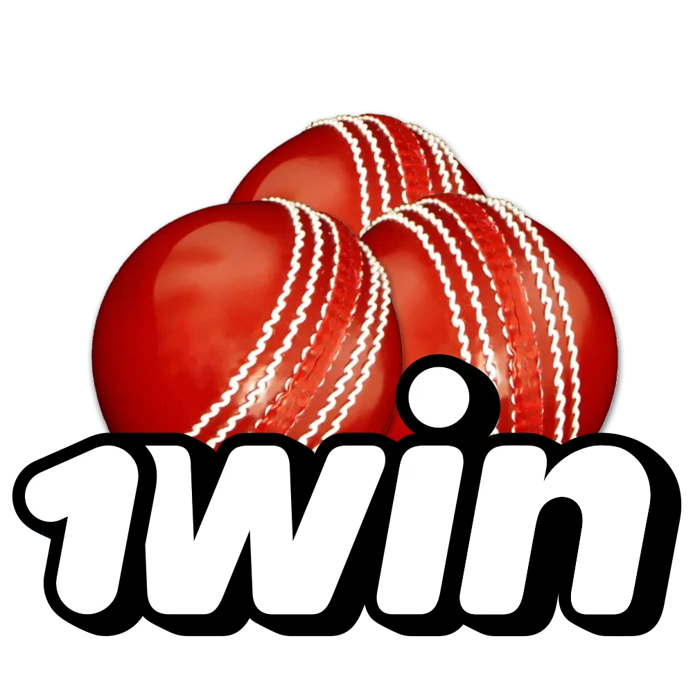 Learn about features provided for cricket betting by 1win.